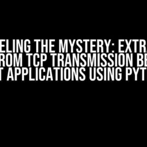 Unraveling the Mystery: Extracting Data from TCP Transmission between .NET Applications using Python